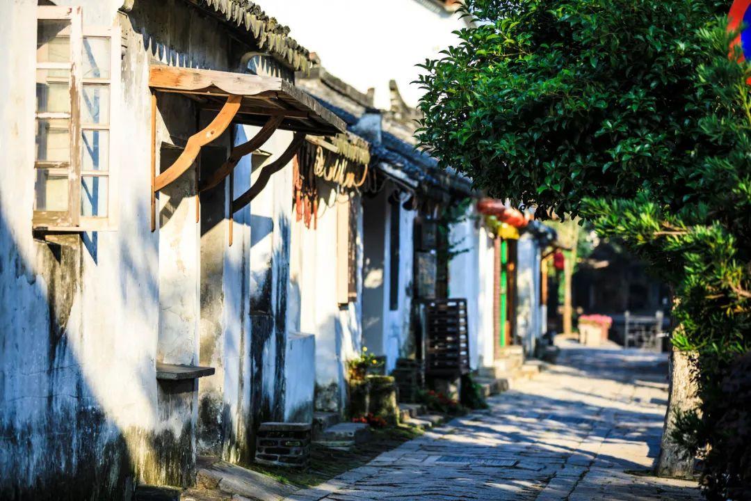 战锤：全面战争2